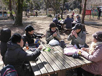 17tagP1090962s_thumb.jpg